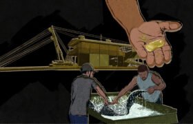 Oro en la Amazonía: crimen y corrupción en la frontera entre Colombia y Brasil￼