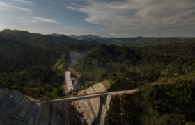 La autopista que amenaza la fauna nativa en el Nordeste de Antioquia