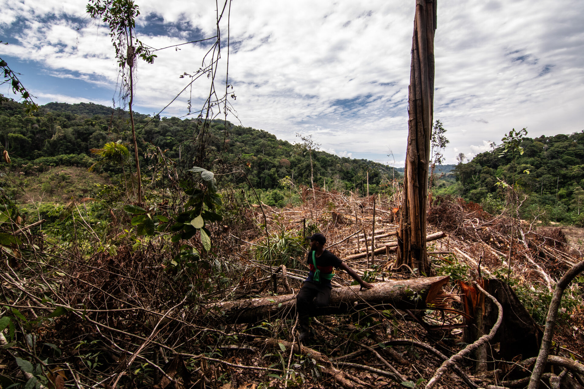 Deforestación del bosque nativo en Antioquia. Fotos: Rubén Torres