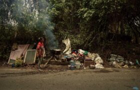 En el Parque de la Vida, el derecho a vivir en comunidad