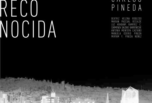 2-DimensionR-portada-1