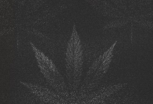 Baudo_Redes_Nov_5_Cannabis