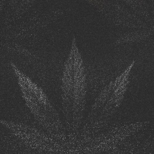 Baudo_Redes_Nov_5_Cannabis