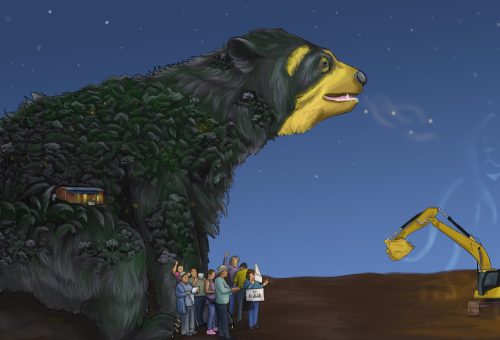 Construir la voz de una comunidad- Angelica Osorio