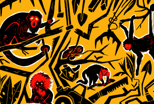 Ilustración_Puerto_Antioquia