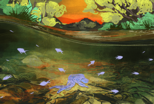 Río_Cauca (1)