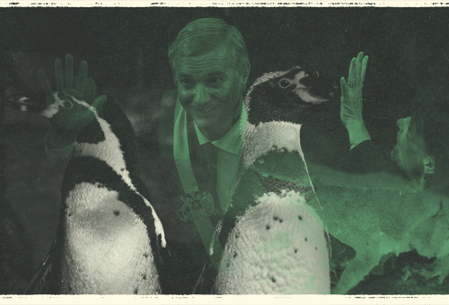 portada caudal