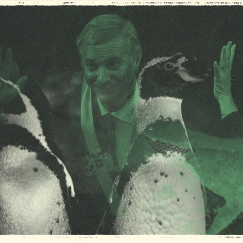 portada caudal