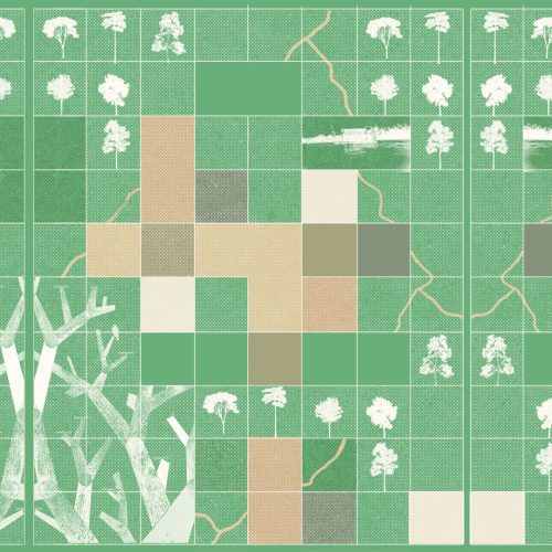 portada-caulda-mineria-amazonas