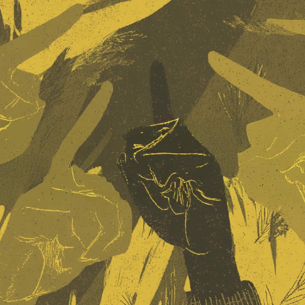 portada-nesletter-Nuevas-voces-desde-la-Amazonía