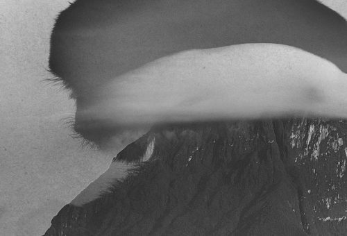 portada_fotolibro-errar-en-el-monte