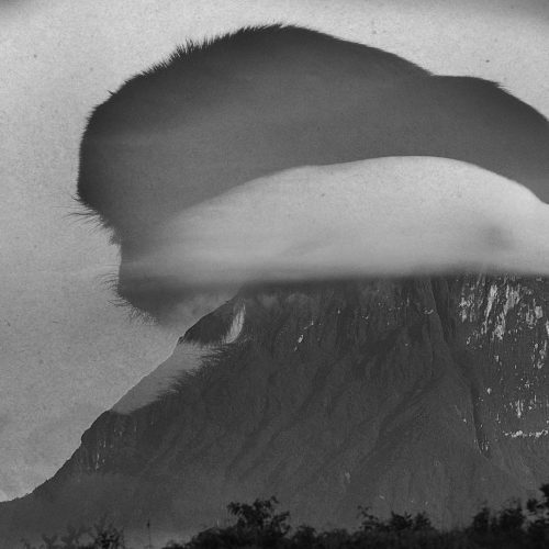 portada_fotolibro-errar-en-el-monte